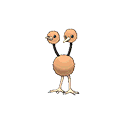 doduo