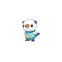 oshawott