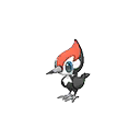 pikipek