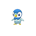 piplup